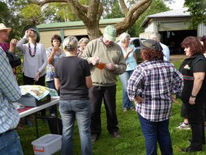 Nashua native bees field trip honey tasting 3