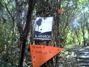 1 ACE te-araroa-the-long-pathway