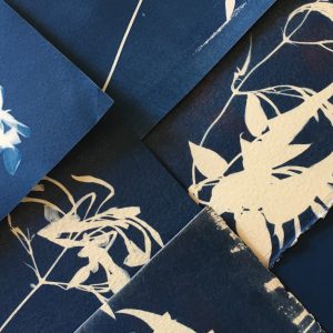 cyanotypes flat